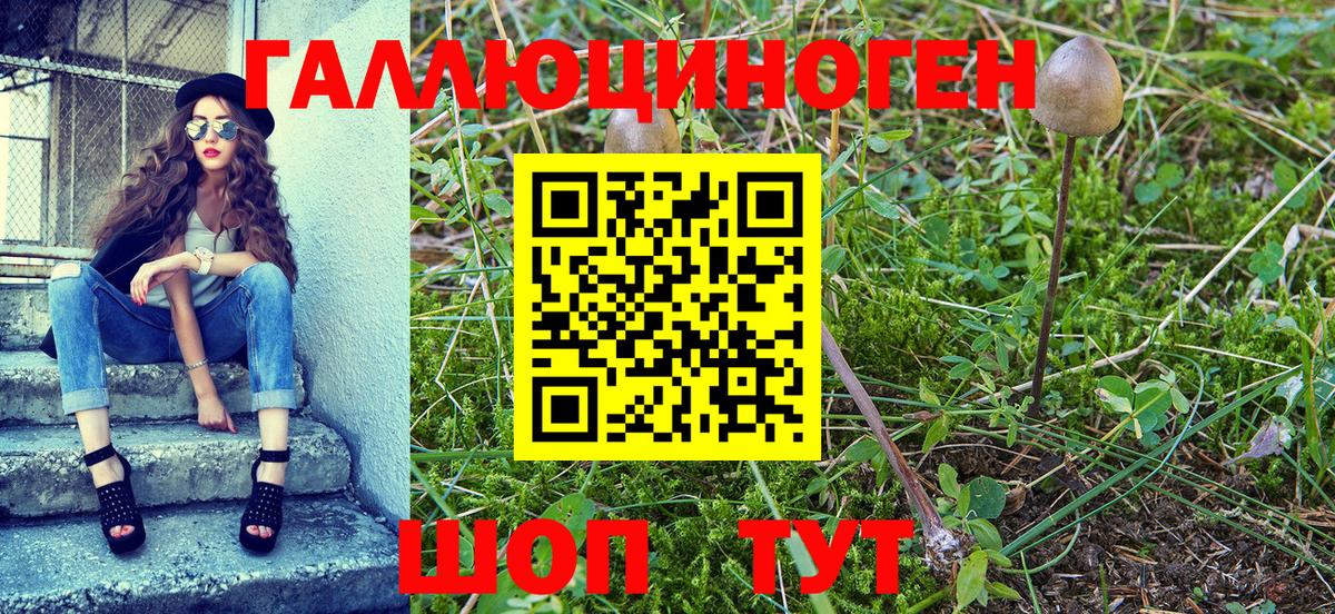 Псилоцибиновые грибы MAGIC MUSHROOMS Нефтекамск